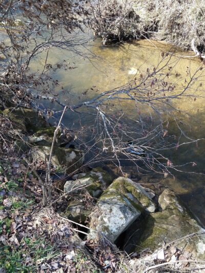 Roby Shoemaker Wetlands and Family Recreation Park - Newland, NC