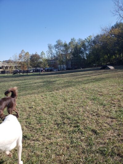 East Row Dog Park - Newport, KY