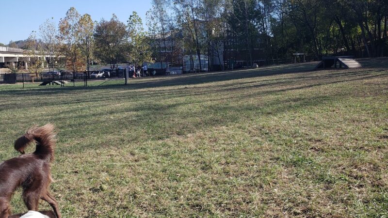 East Row Dog Park - Newport, KY