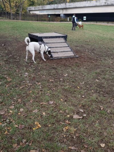 East Row Dog Park - Newport, KY