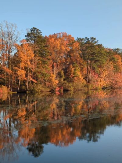 Noland Trail Head Parking - Newport News, VA