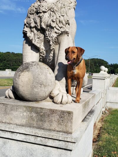 Noland Trail Head Parking - Newport News, VA