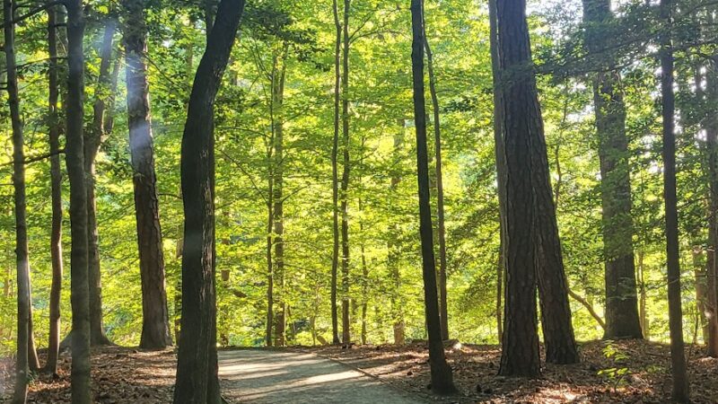 The Noland Trail - Newport News, VA
