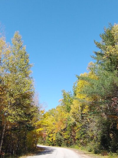 Appalachian Trail & Dunn Trail Crossing at Andover Rd ME - Newry, ME