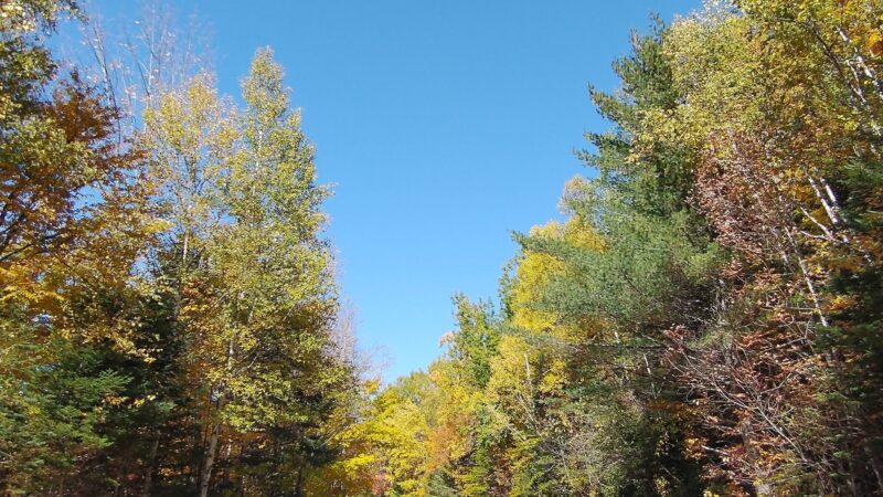 Appalachian Trail & Dunn Trail Crossing at Andover Rd ME - Newry, ME