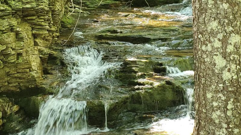 Appalachian Trail & Dunn Trail Crossing at Andover Rd ME - Newry, ME