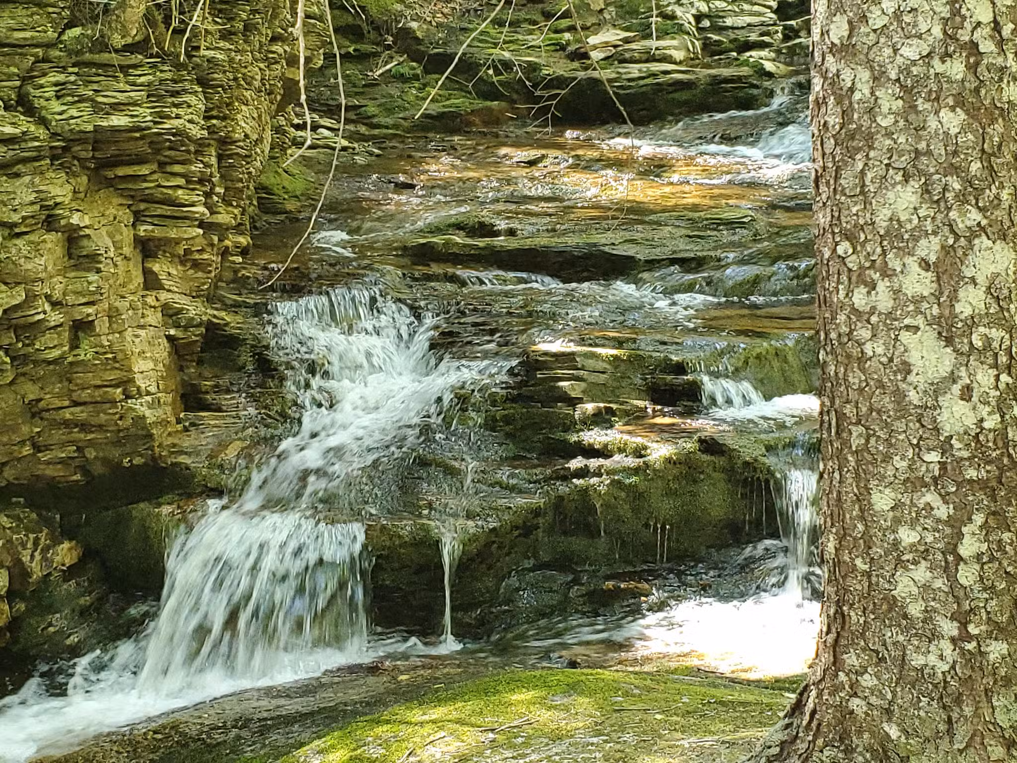 Appalachian Trail & Dunn Trail Crossing at Andover Rd ME - Newry, ME