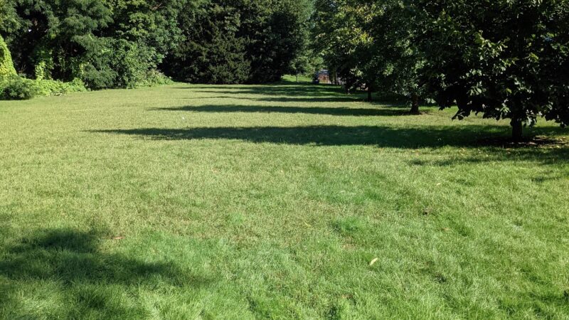 Claflin Playground - Newton, MA