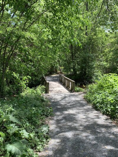 Cold Spring Park - Newton, MA