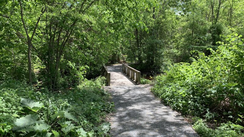 Cold Spring Park - Newton, MA