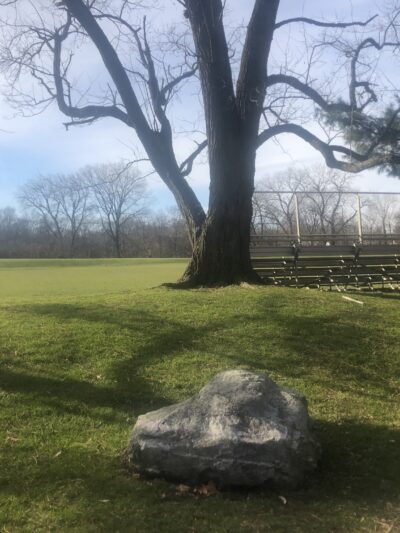 Cold Spring Park - Newton, MA