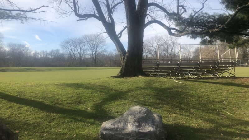 Cold Spring Park - Newton, MA