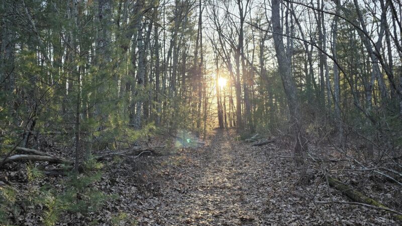 Cold Spring Park - Newton, MA