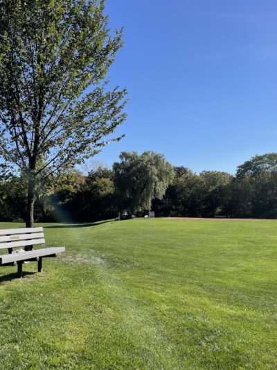 Cold Spring Park - Newton, MA