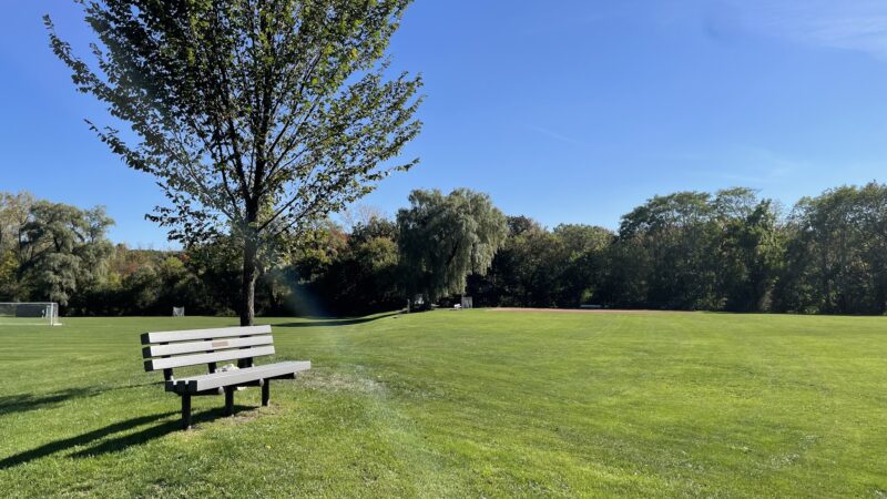 Cold Spring Park - Newton, MA