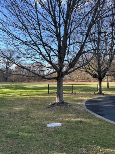 Newton Centre Playground - Newton, MA