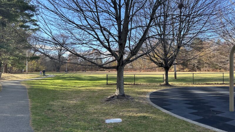 Newton Centre Playground - Newton, MA