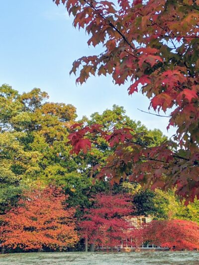 Newton Centre Playground - Newton, MA