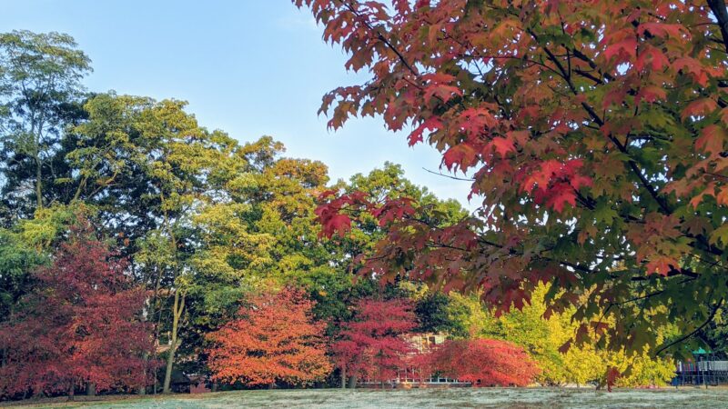 Newton Centre Playground - Newton, MA
