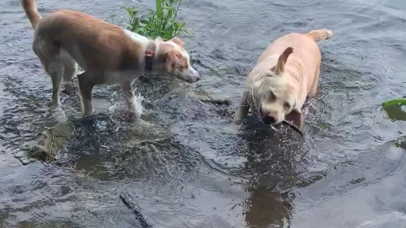 Kittatinny Valley State Park - Newton, NJ