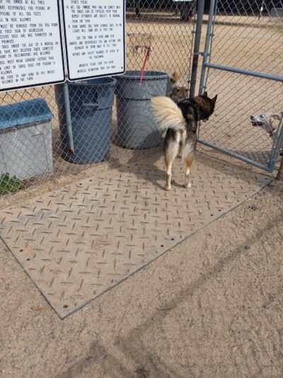 Niceville Dog Park - Niceville, FL