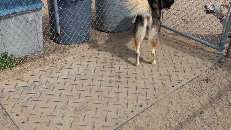 Niceville Dog Park - Niceville, FL