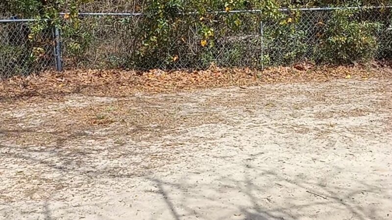 Niceville Dog Park - Niceville, FL