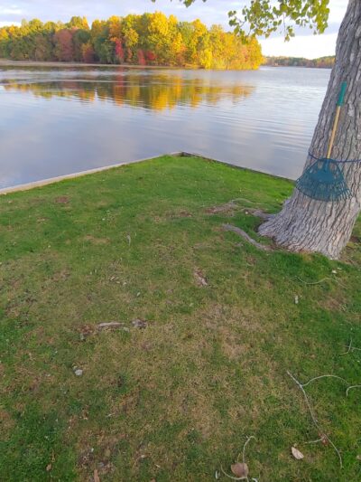 One Tree Island - Niverville, NY