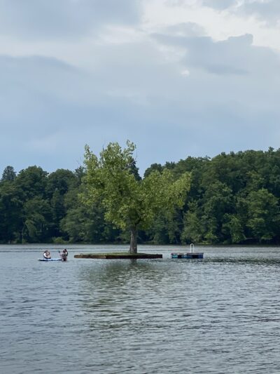 One Tree Island - Niverville, NY