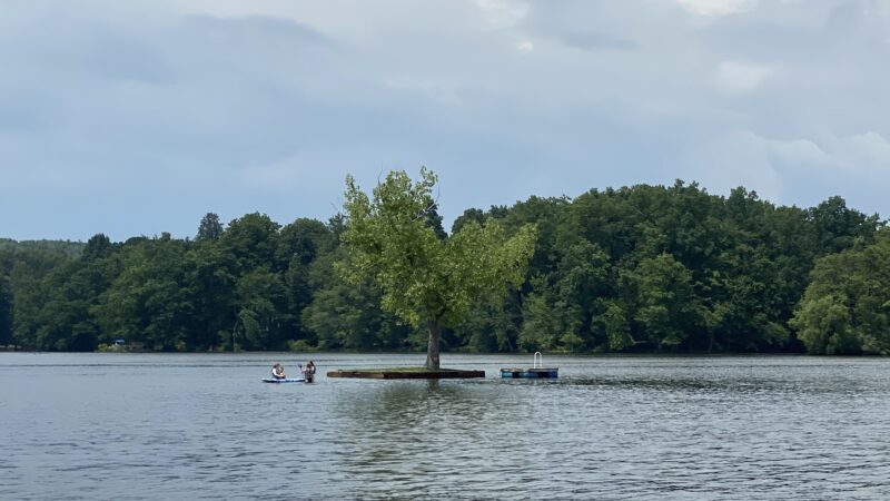 One Tree Island - Niverville, NY