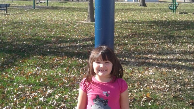 Noble Village Park - Noble, IL