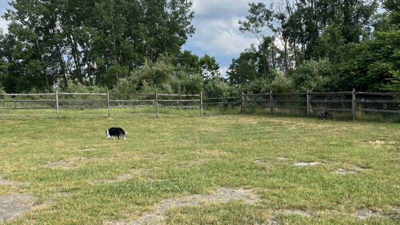 Dog park - Noblestown, PA