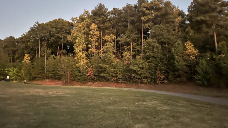 Graves Dog Park - Norcross, GA