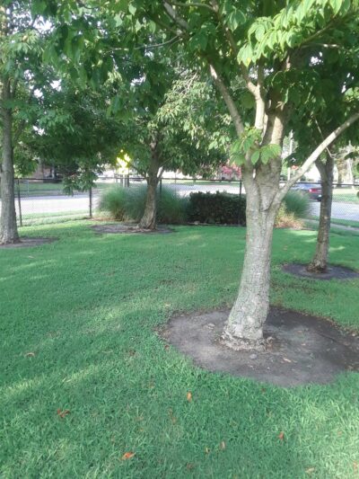 Berkley Park - Norfolk, VA