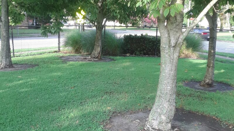 Berkley Park - Norfolk, VA