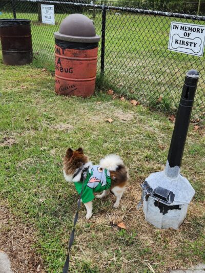 Dog Park - Norfolk, VA