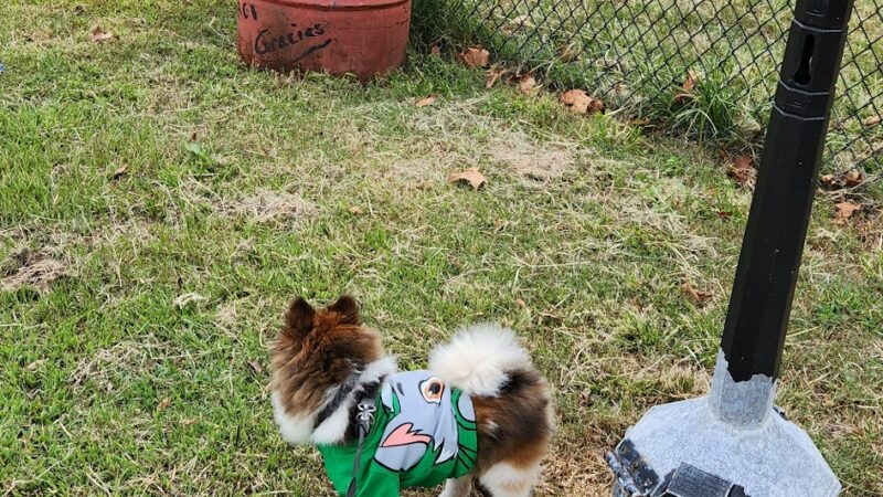 Dog Park - Norfolk, VA