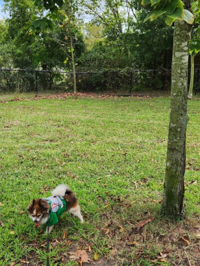 Dog Park - Norfolk, VA