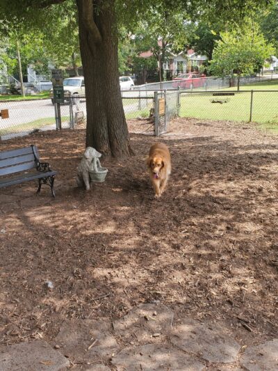 Lafayette Dog Park - Norfolk, VA