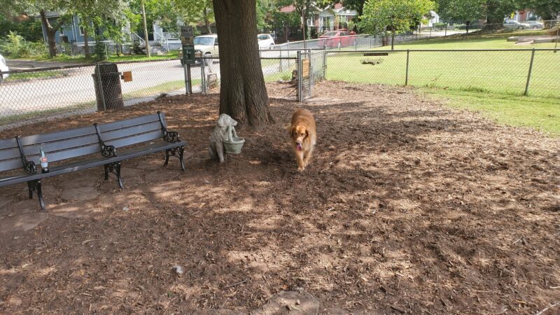 Lafayette Dog Park - Norfolk, VA