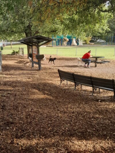 Lafayette Dog Park - Norfolk, VA