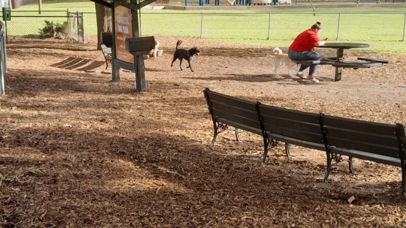 Lafayette Dog Park - Norfolk, VA