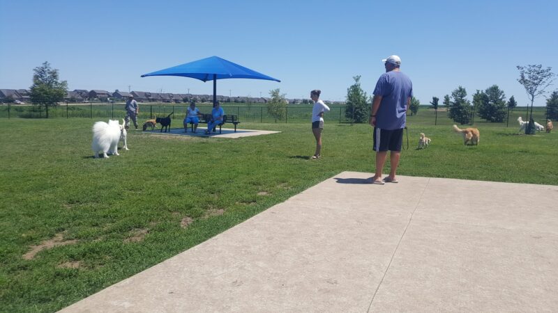 Shepard Park - Normal, IL