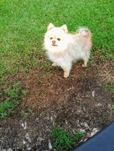 Norphlet City Park - Norphlet, AR