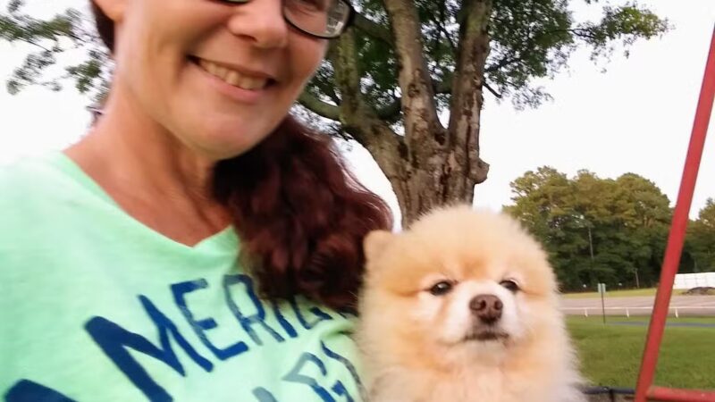 Norphlet City Park - Norphlet, AR