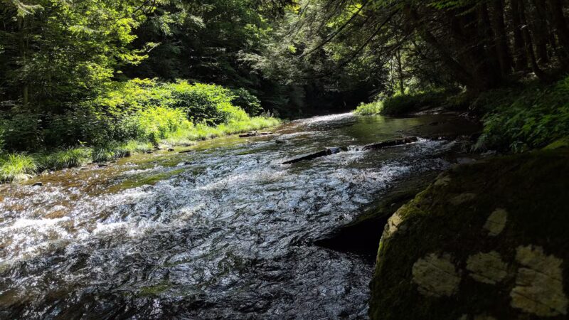 Messimer Preserve - North Abington Township, PA