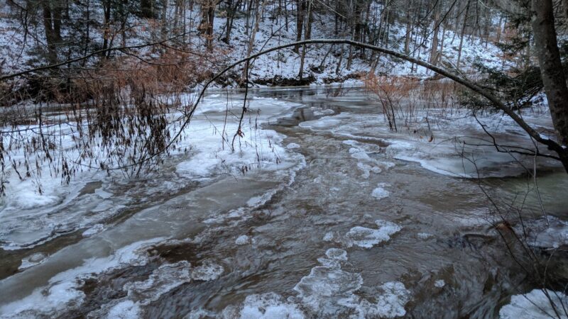 Messimer Preserve - North Abington Township, PA