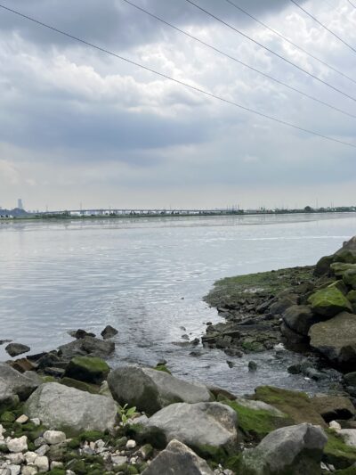 Sawmill Creek Trail & Transco Trail - North Arlington, NJ