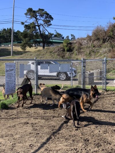 Jorgensen Dog Park - North Bend, OR