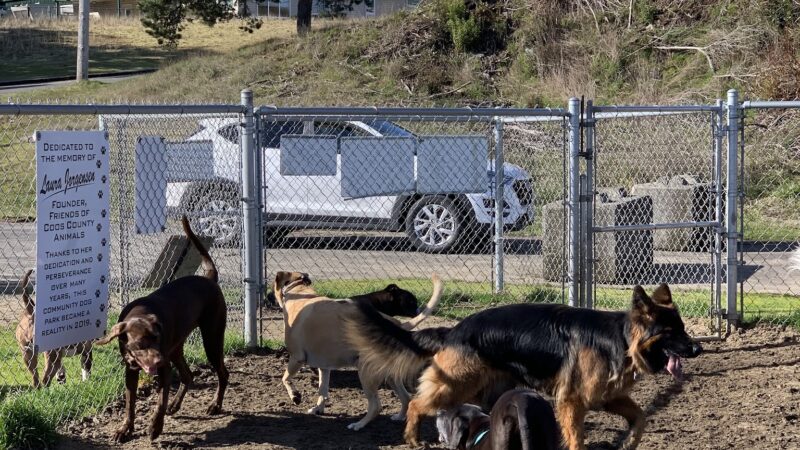 Jorgensen Dog Park - North Bend, OR